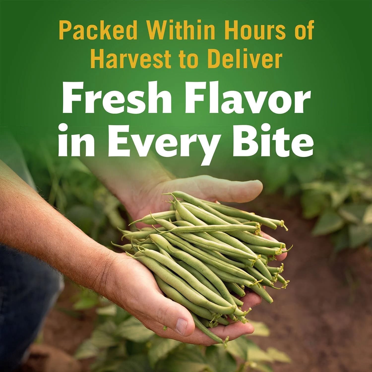Del Monte Cut Green Beans (14.5 oz., 8 pk.) — view 3